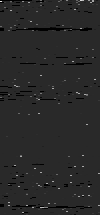 MTVZA-19.png